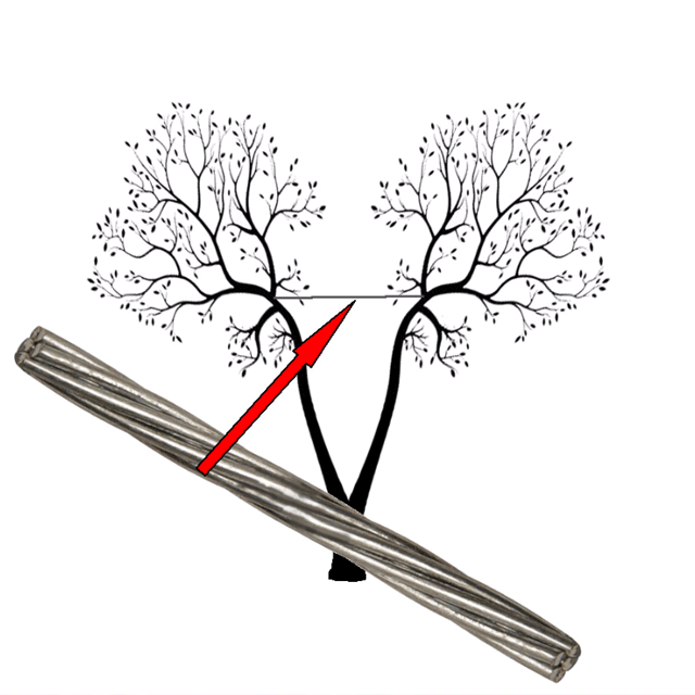 Illustration showing how cabling can protect a splitting tree by holding two tops together