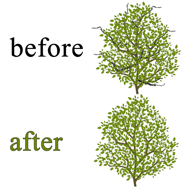 illustration showing how the removal of dead wood improves the appearance and health of a tree